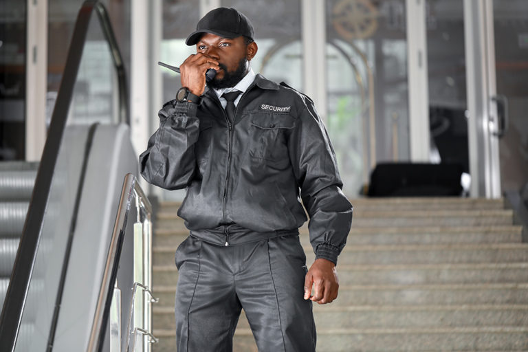 Security Standing – Pinnacle Security Solutions LLC