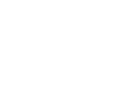 Pinnacle Security Solutions LLC